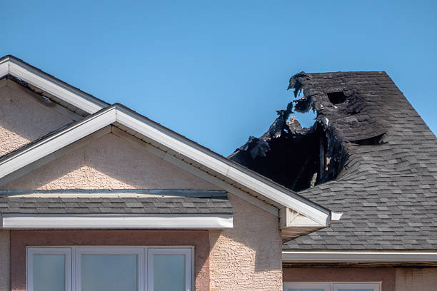 Top rated local Fire Damage Removal specialists in Woodville, FL